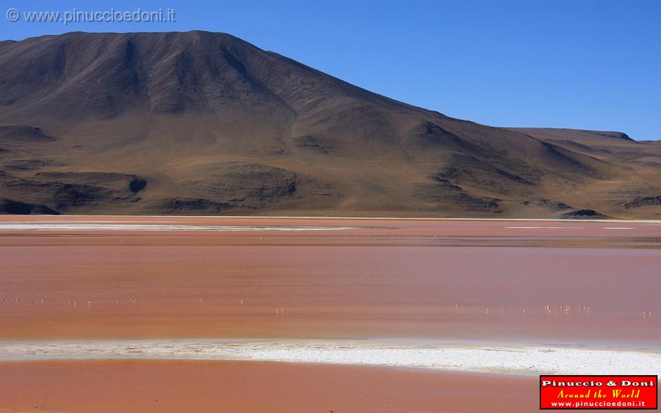 BOLIVIA 2 - Laguna Colorada - 02.jpg